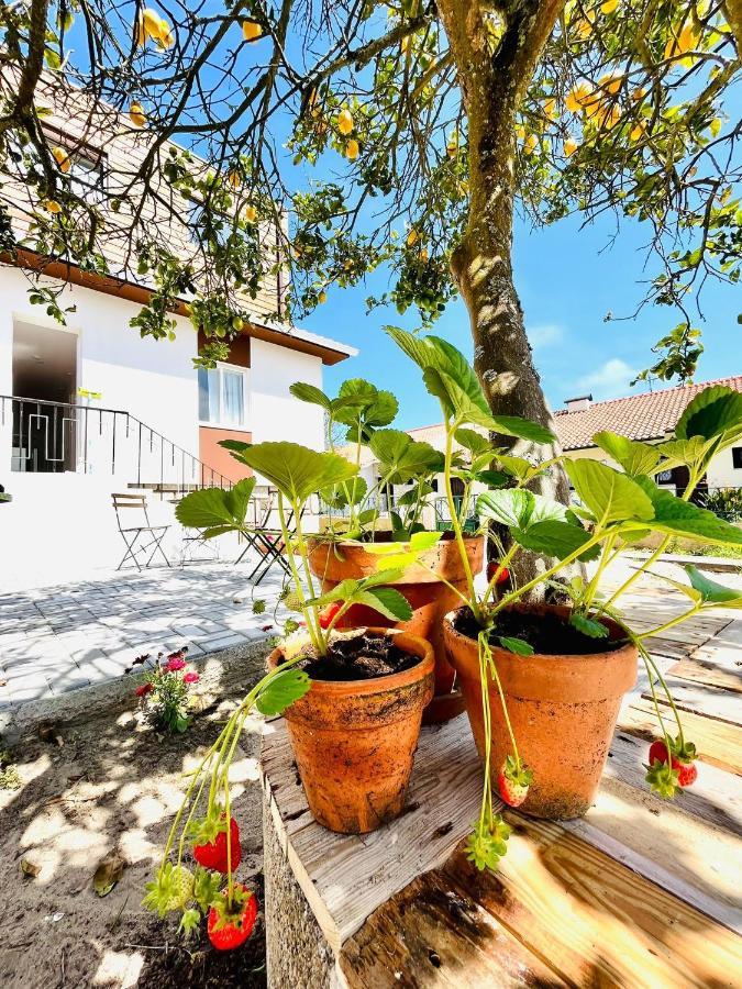 Hostel Do Alto - Fao Esposende Exterior photo